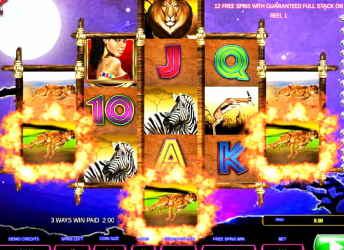$275 Tournoi au casino Leo Vegas
